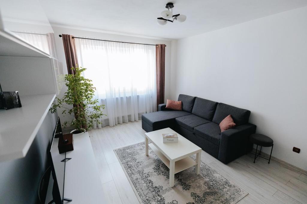 Scandinavian House Appartamento Târgu Jiu Esterno foto